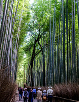Arashiyama and The Bamboo Grove